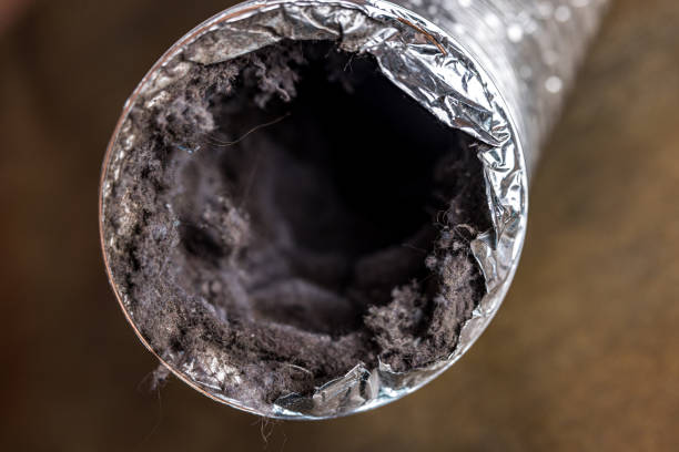 Best Local Air Duct Cleaning Services  in Oasis, CA
